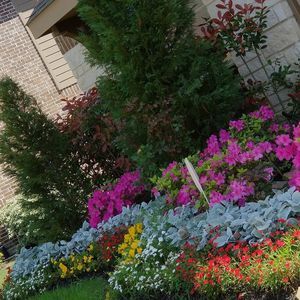 Meet your Posher, Farhat